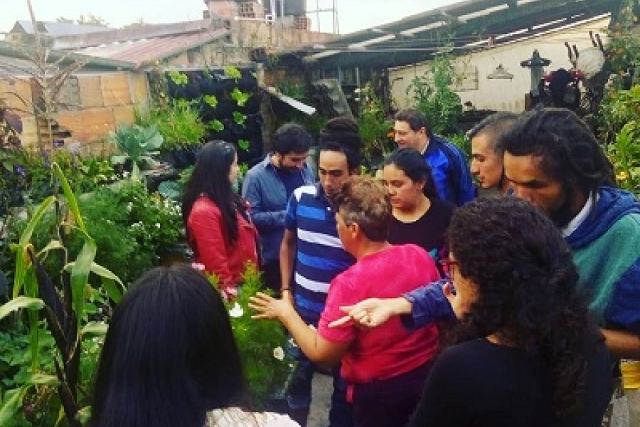 Del campo a la ciudad: Terracita OrgÃ¡nica, un proyecto familiar en la Ciudad