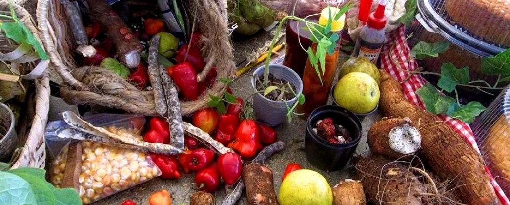 Mercado Agroecol贸gico del Quind铆o, un espacio para el Buen Vivir
