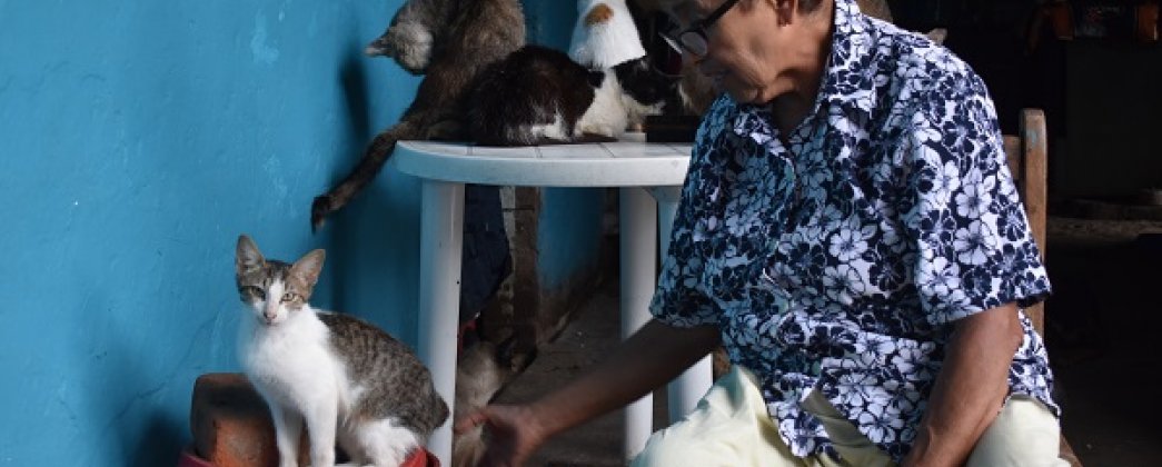 REFUGIO CONCIENCIA ANIMAL HATEÃ‘A: UN ESPACIO DE AMOR Y PROTECCIÃ“N A LOS ANIMALES